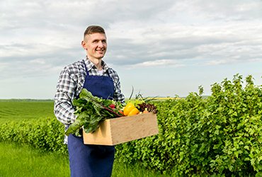 Protecting Crops With Natural Techniques Instead Of Pesticides